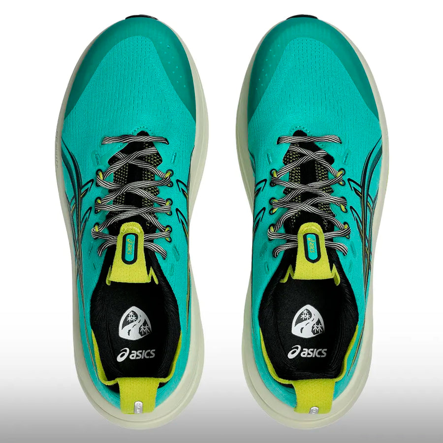 Asics Gel Nimbus 28 Hombre Tr Nature Bathing