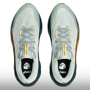 Asics Novablast 5 TR Homre Nature Bathing Lichen Rock